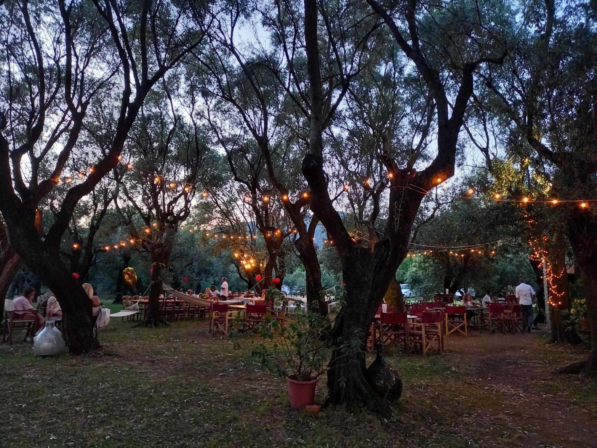 Gasthaus Antico Uliveto Seravezza Exterior foto