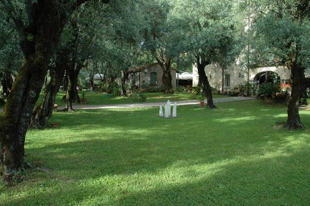 Gasthaus Antico Uliveto Seravezza Exterior foto