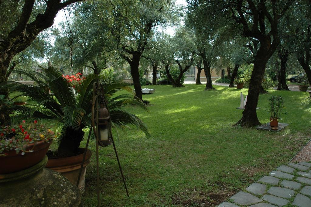 Gasthaus Antico Uliveto Seravezza Exterior foto