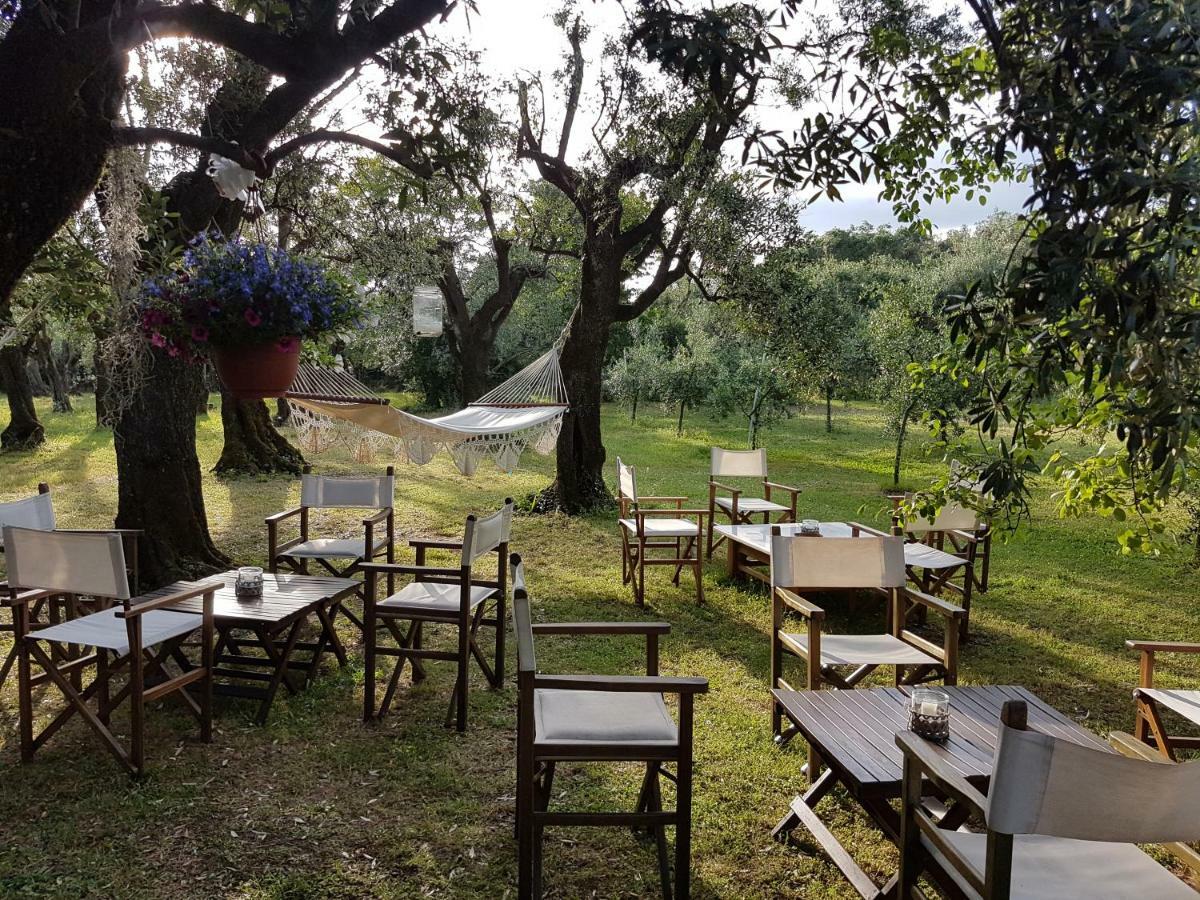Gasthaus Antico Uliveto Seravezza Exterior foto